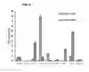 Fig. 06 - Methods and compositions for drug delivery