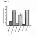 Fig. 07 - Methods and compositions for drug delivery