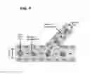 Fig. 08 - Methods and compositions for drug delivery
