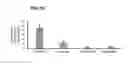 Fig. 14 - Methods and compositions for drug delivery