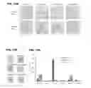 Fig. 15 - Methods and compositions for drug delivery