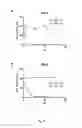 Fig. 13 - Cytotoxic HEXIM1 peptides and uses thereof