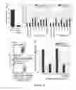 Fig. 22 - Nanoparticle conjugates and uses thereof