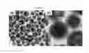 Fig. 05 - Polymer-iron oxide nano-complex, uses thereof and preparation method thereof