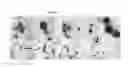 Fig. 06 - Polymer-iron oxide nano-complex, uses thereof and preparation method thereof