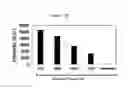 Fig. 17 - Polymer-iron oxide nano-complex, uses thereof and preparation method thereof