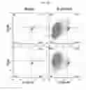 Fig. 04 - Engineered B lymphocytes and compositions having micro-RNA and methods for making and using them
