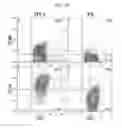 Fig. 07 - Engineered B lymphocytes and compositions having micro-RNA and methods for making and using them