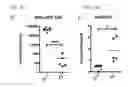 Fig. 08 - Engineered B lymphocytes and compositions having micro-RNA and methods for making and using them