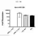 Fig. 10 - Engineered B lymphocytes and compositions having micro-RNA and methods for making and using them