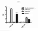 Fig. 16 - Engineered B lymphocytes and compositions having micro-RNA and methods for making and using them