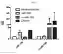 Fig. 17 - Engineered B lymphocytes and compositions having micro-RNA and methods for making and using them