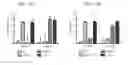 Fig. 22 - Engineered B lymphocytes and compositions having micro-RNA and methods for making and using them