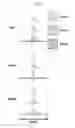 Fig. 27 - Engineered B lymphocytes and compositions having micro-RNA and methods for making and using them