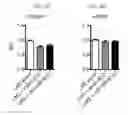 Fig. 33 - Engineered B lymphocytes and compositions having micro-RNA and methods for making and using them
