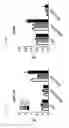 Fig. 34 - Engineered B lymphocytes and compositions having micro-RNA and methods for making and using them