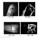 Fig. 08 - Composition and method for detection of demineralisation