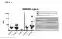 Fig. 05 - Humanized model of kidney and liver disorders