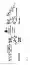 Fig. 02 - HEMOSTATIC MATERIAL