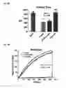 Fig. 06 - HEMOSTATIC MATERIAL