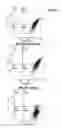 Fig. 09 - HEMOSTATIC MATERIAL