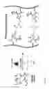 Fig. 10 - HEMOSTATIC MATERIAL