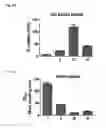 Fig. 12 - HEMOSTATIC MATERIAL