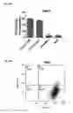 Fig. 15 - HEMOSTATIC MATERIAL