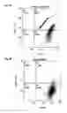 Fig. 16 - HEMOSTATIC MATERIAL