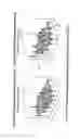 Fig. 10 - Implant for tissue repair including chitosan