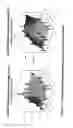 Fig. 12 - Implant for tissue repair including chitosan