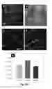 Fig. 13 - Bi-Layer Extra Cellular Matrix Scaffolds and Uses Therefor
