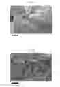 Fig. 05 - SILK FIBROIN CRYOGELS