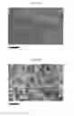 Fig. 06 - SILK FIBROIN CRYOGELS
