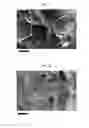 Fig. 07 - SILK FIBROIN CRYOGELS