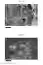 Fig. 33 - SILK FIBROIN CRYOGELS