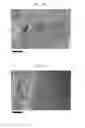 Fig. 34 - SILK FIBROIN CRYOGELS