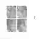 Fig. 11 - Microcapillary network based scaffold