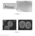 Fig. 04 - Three dimensional microtissue bioprinter