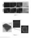 Fig. 11 - Three dimensional microtissue bioprinter