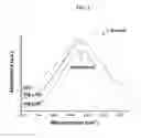 Fig. 06 - Injectable, flexible hydroxyapatite-silk foams for osteochondral and dental repair
