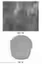 Fig. 03 - MESENCHYMAL CELL-BINDING COMPOSITE MATERIAL FOR TISSUE RESTORATION