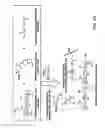Fig. 11 - MESENCHYMAL CELL-BINDING COMPOSITE MATERIAL FOR TISSUE RESTORATION