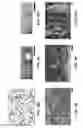 Fig. 12 - MESENCHYMAL CELL-BINDING COMPOSITE MATERIAL FOR TISSUE RESTORATION