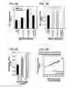 Fig. 14 - MESENCHYMAL CELL-BINDING COMPOSITE MATERIAL FOR TISSUE RESTORATION