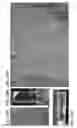 Fig. 25 - MESENCHYMAL CELL-BINDING COMPOSITE MATERIAL FOR TISSUE RESTORATION