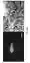 Fig. 29 - MESENCHYMAL CELL-BINDING COMPOSITE MATERIAL FOR TISSUE RESTORATION