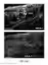 Fig. 32 - MESENCHYMAL CELL-BINDING COMPOSITE MATERIAL FOR TISSUE RESTORATION