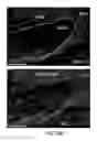 Fig. 33 - MESENCHYMAL CELL-BINDING COMPOSITE MATERIAL FOR TISSUE RESTORATION