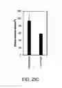 Fig. 34 - MESENCHYMAL CELL-BINDING COMPOSITE MATERIAL FOR TISSUE RESTORATION